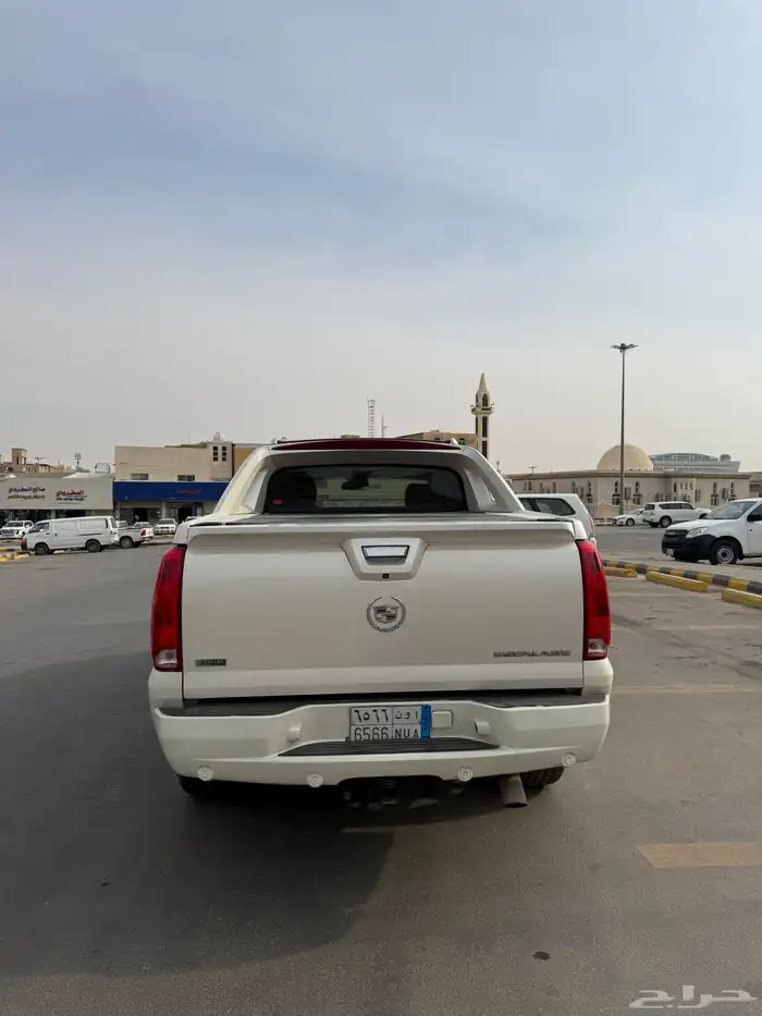 دينالي 2009 19