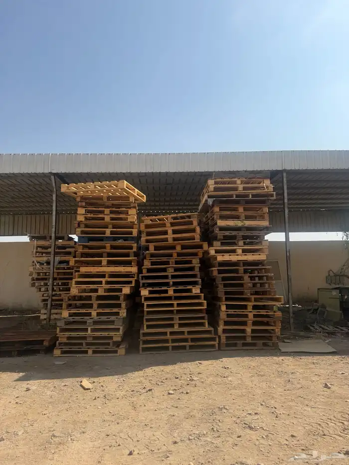 طبالي للبيع 0