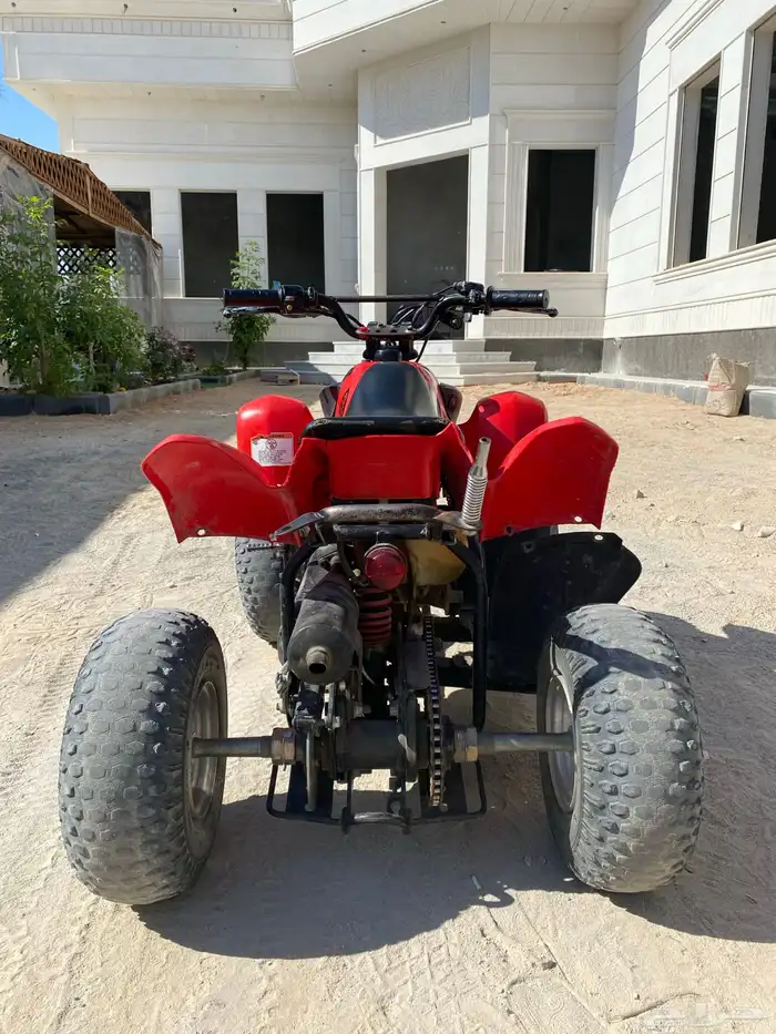 دباب للبيع 3