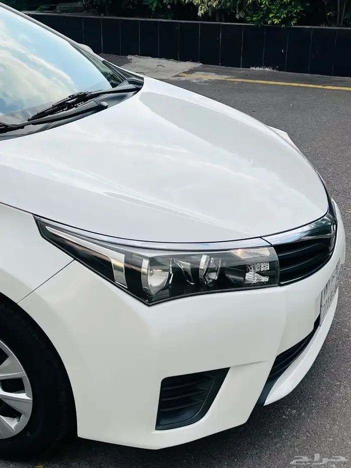 كورولا Xli شبه جديده ( مخزن ) 12