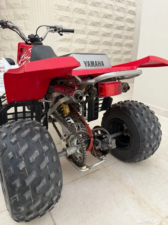 دباب بانشي 1