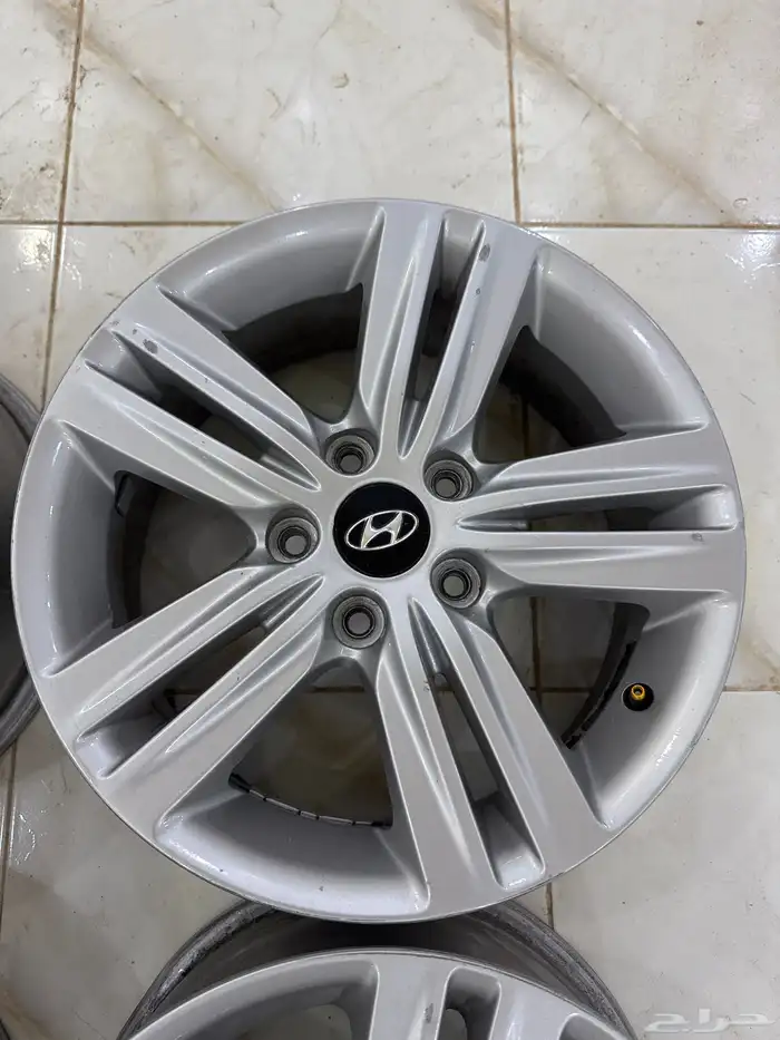 جنوط مجدوعي 2014 . 4