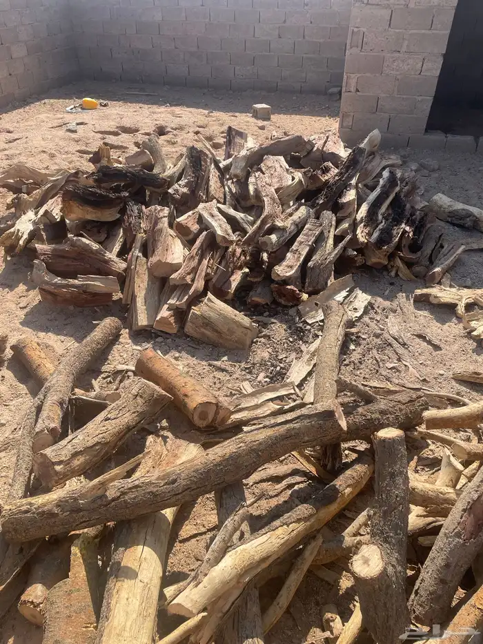 سمر افريقي مستورد 1