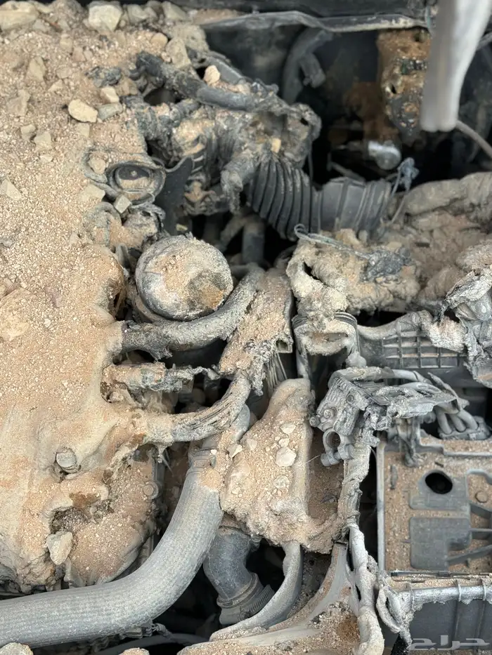 كادنزا للبيع محروقه 5