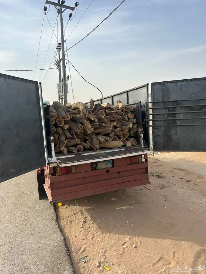 ح ط ب المدينه 8