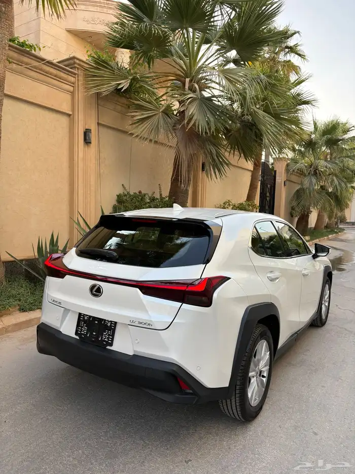 لكزس جديد New UX 300h 2024 ( عرض نهاية العام ) 2