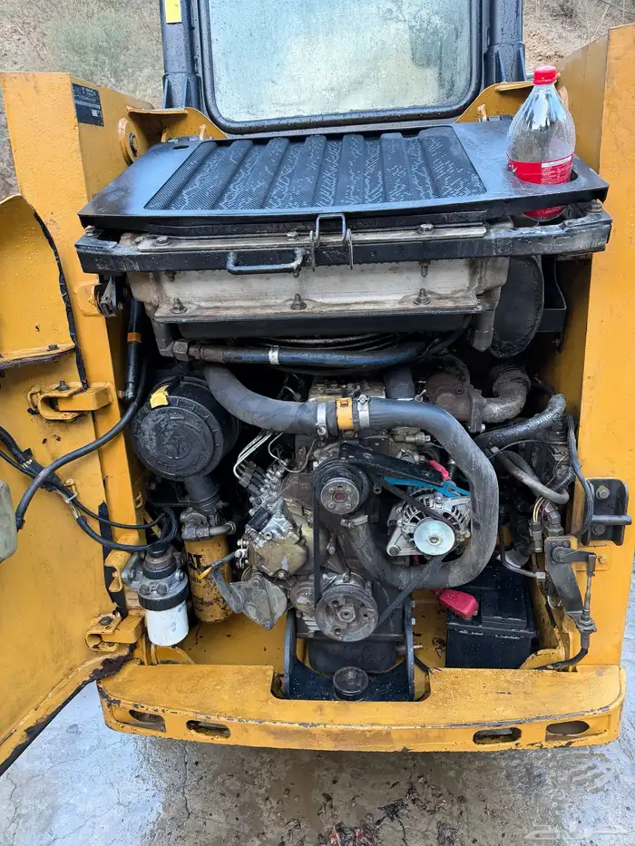 عسير رجال المع 8