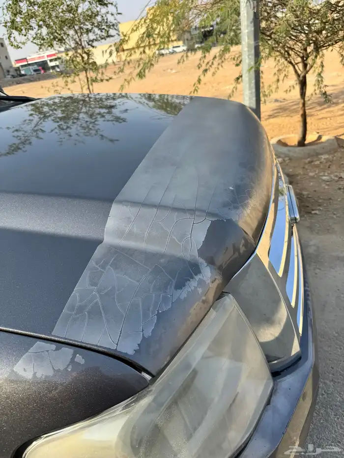 اكسبيدشن 2013 20