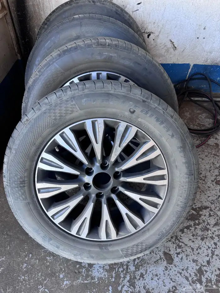 جنوط بلاتينيوم وارد بانعيم 2