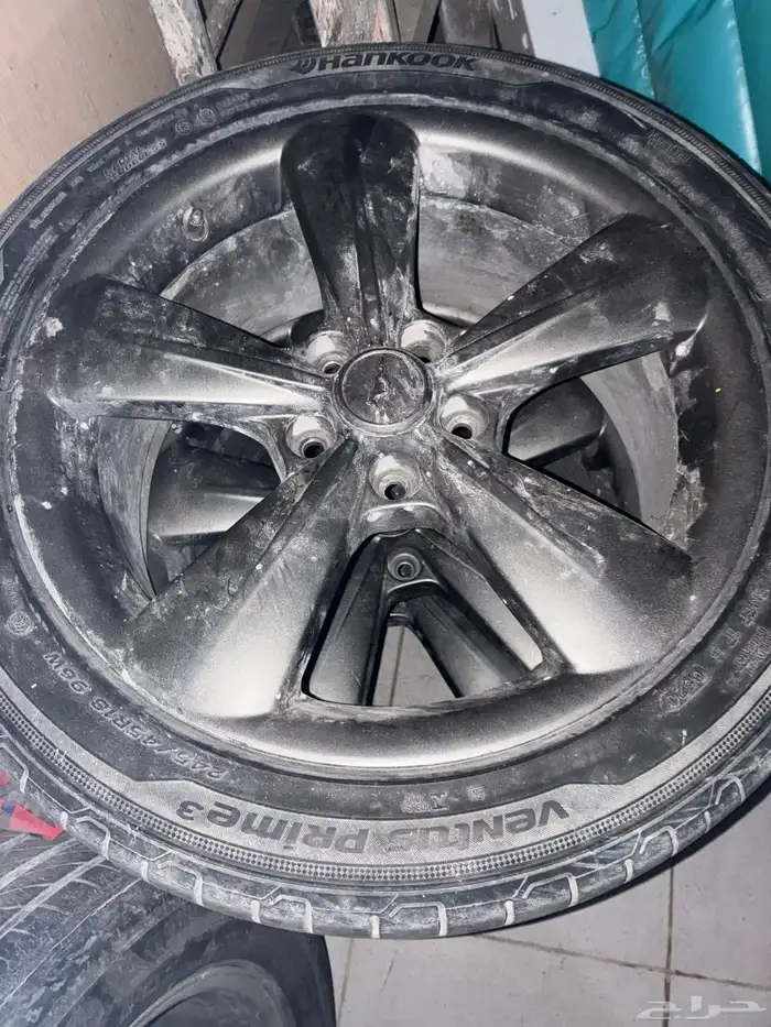 جنوط موستنج 1