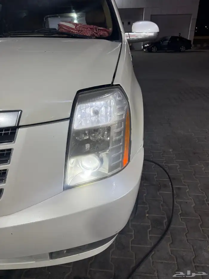 دينالي 2009 27