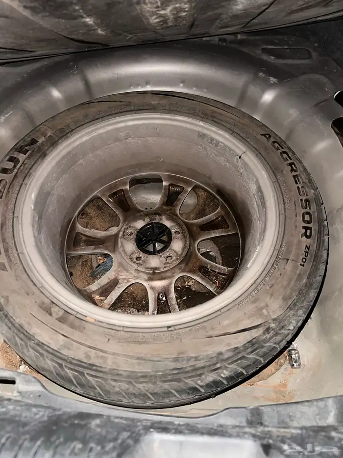 الانترا2013 6