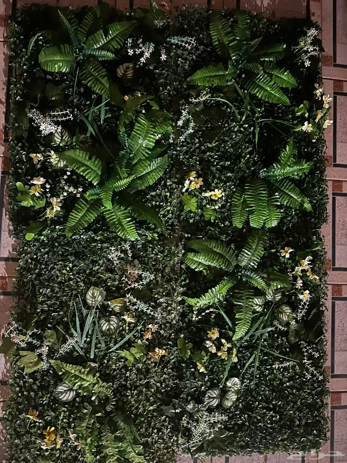 نبات صناعي للجدران 1