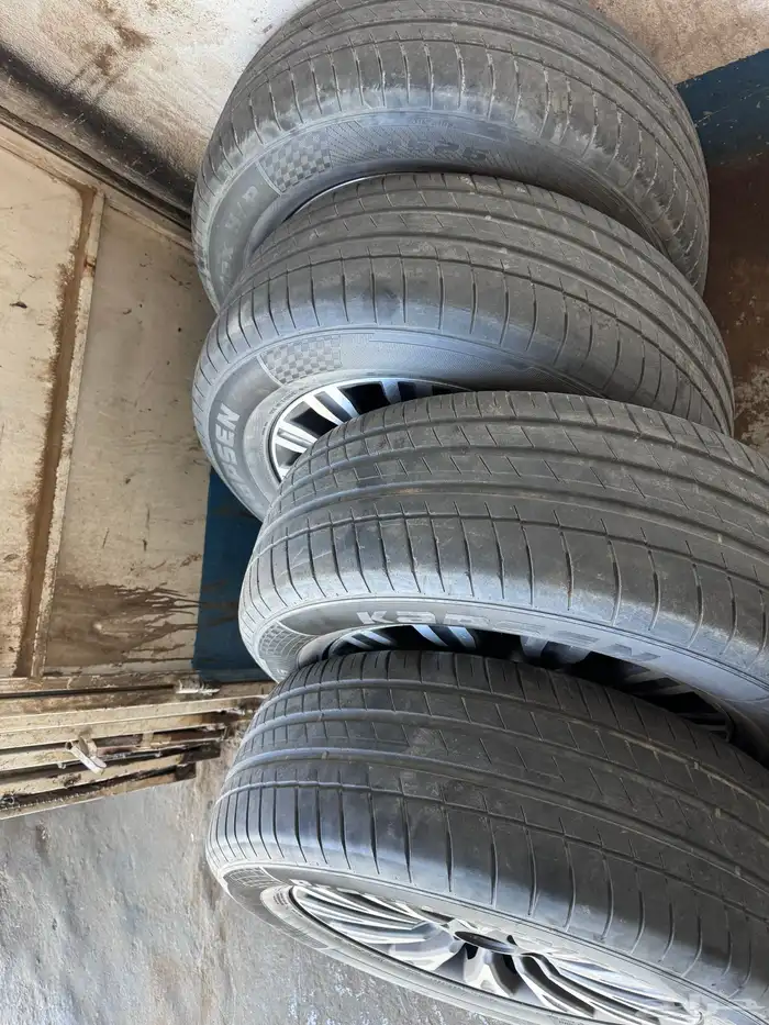 جنوط بلاتينيوم وارد بانعيم 0