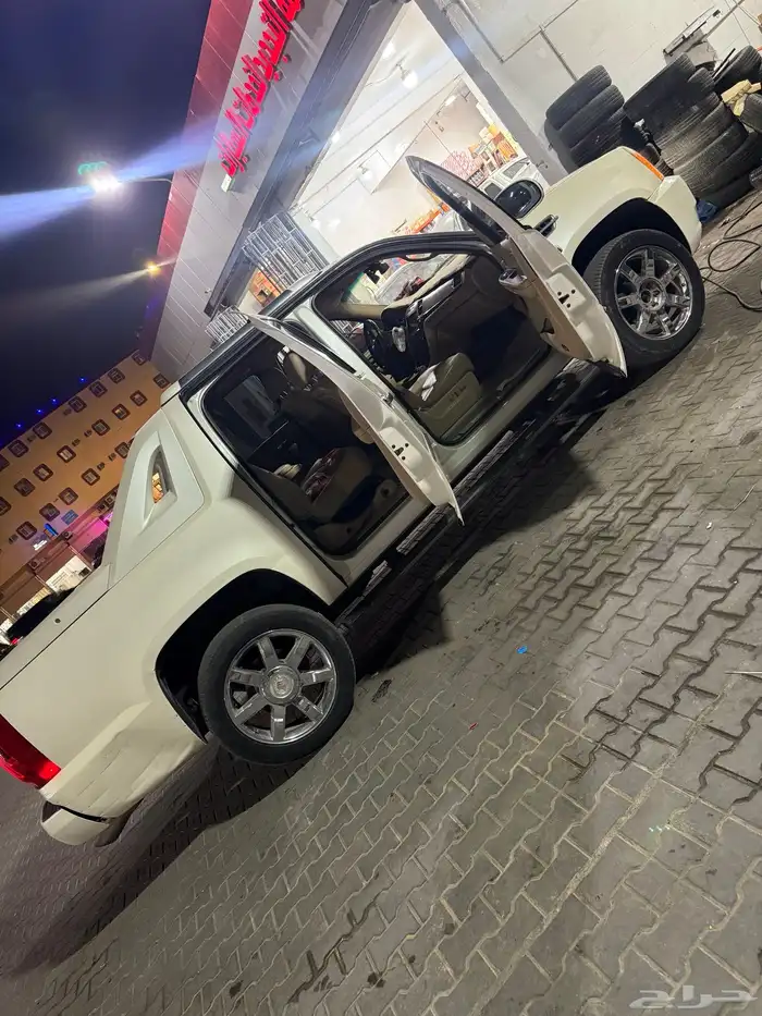 دينالي 2009 32