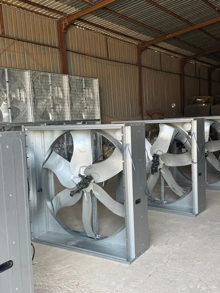 مراوح أيطالي بيوت محميه 4