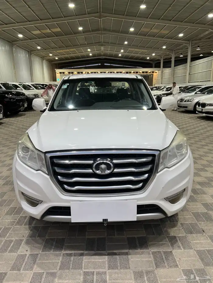 للبيع وانيت جريت وول 2017 ونقل 6 1