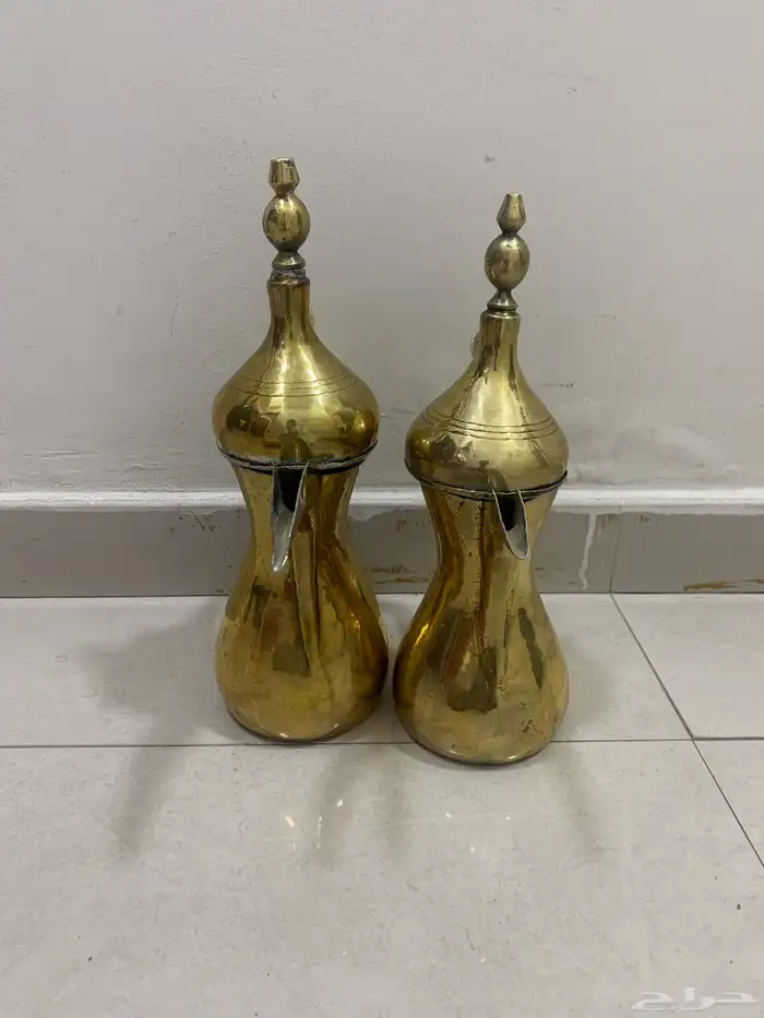 دلتين انور رسلان 1