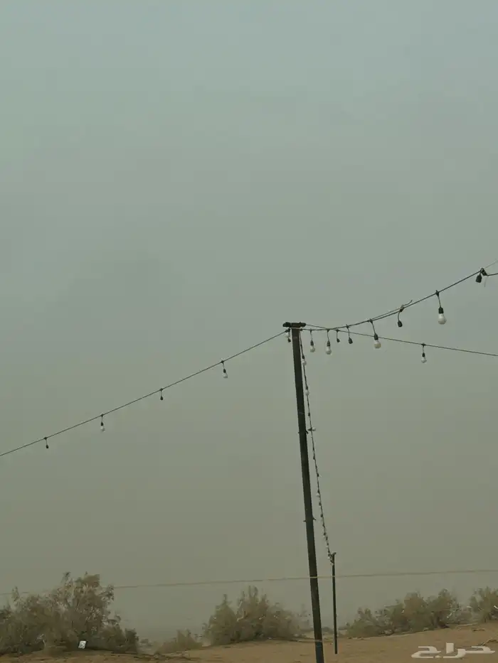 عقد انوار مع عواميده 0