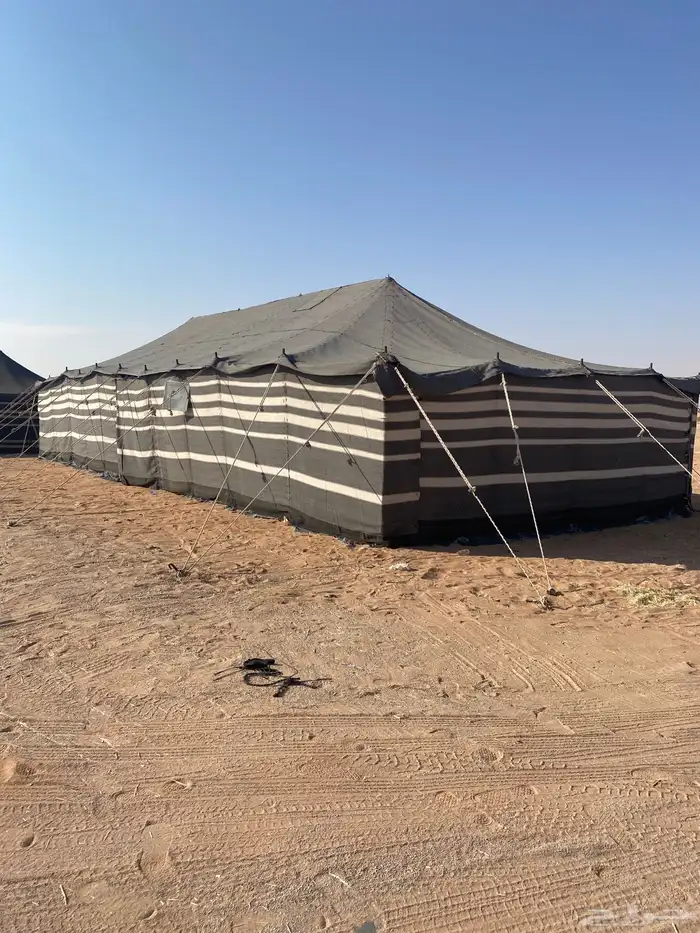 للبيع بيت شعر 1