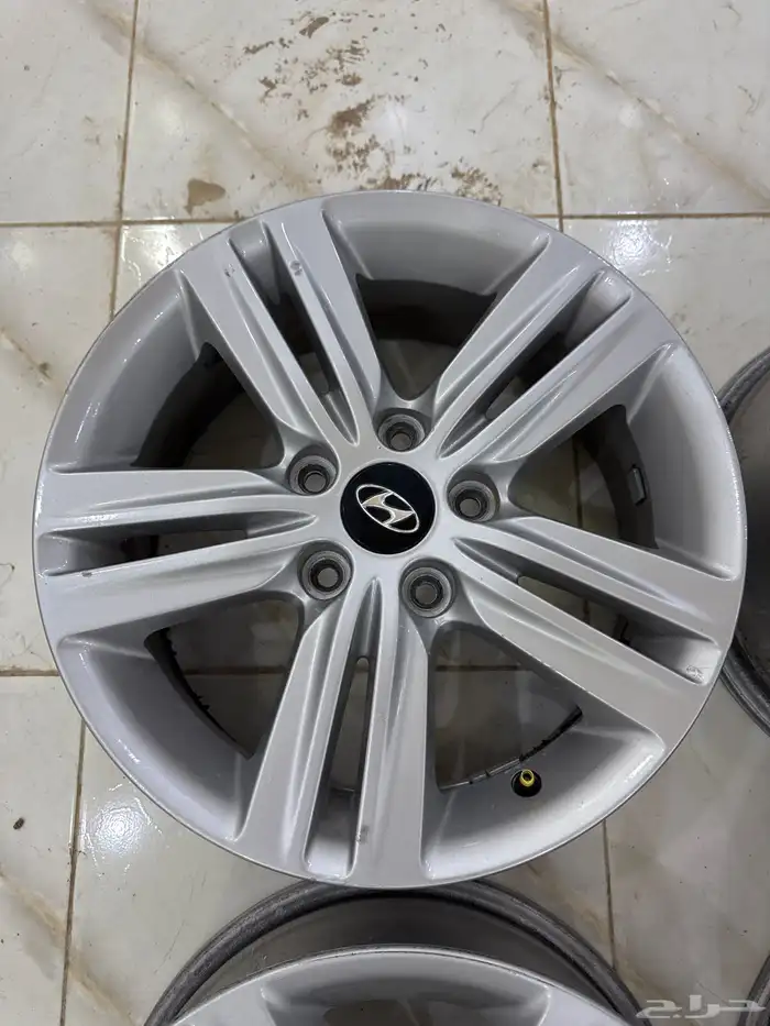 جنوط مجدوعي 2014 . 2