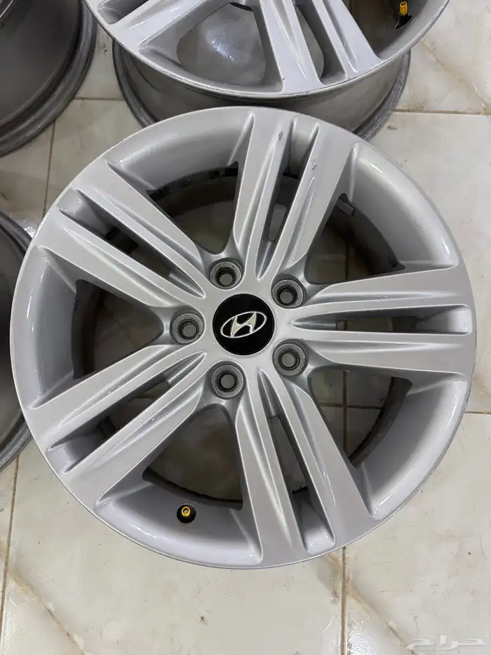 جنوط مجدوعي 2014 . 3