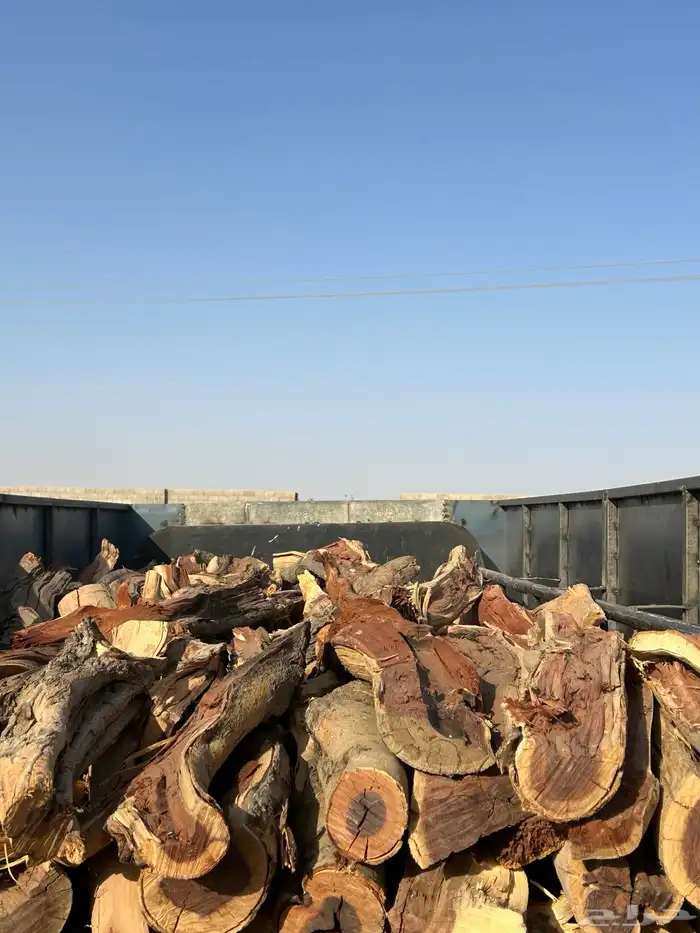 ح ط ب المدينه 4