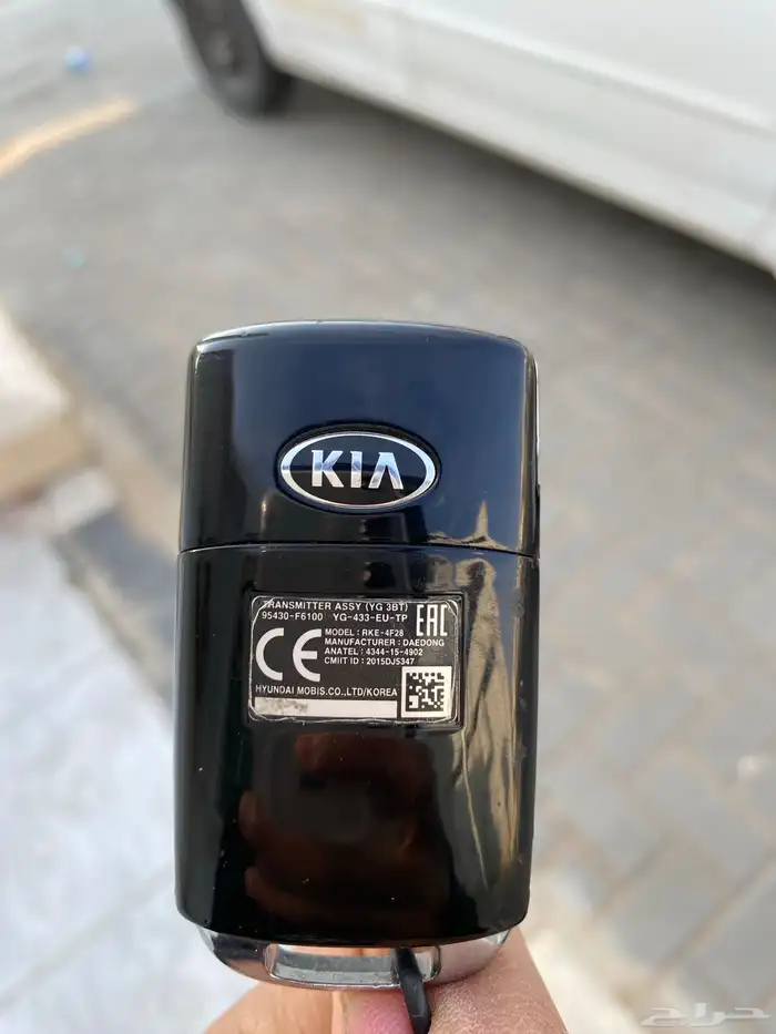 مفتاح كادينزا 1