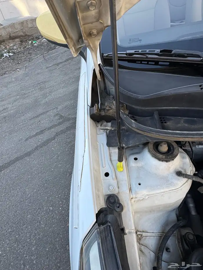 أكسنت 2017 ممشى قليل بودي وكالة 19