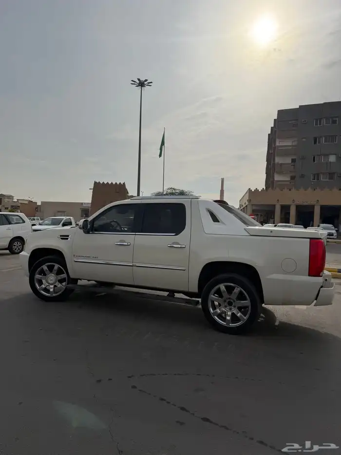 دينالي 2009 22