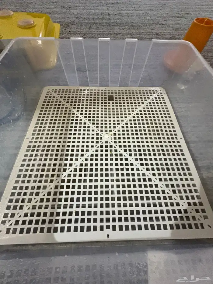 فقاصه فل تماتيك 1