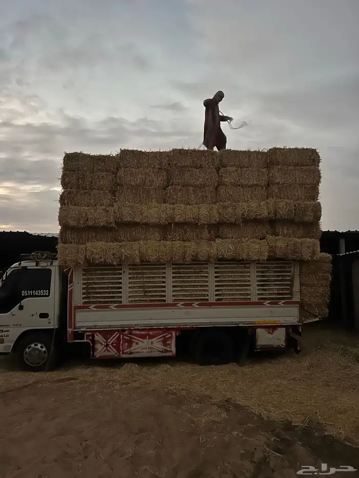 تبن بر صافي 0