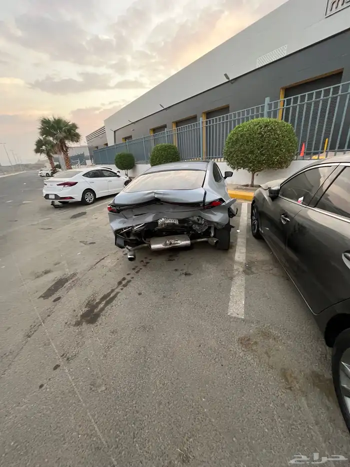 شانجان يوني في 2025 6