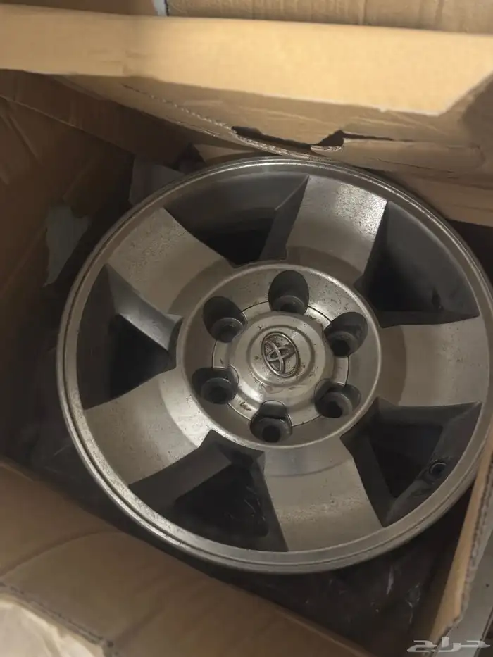 جنوط اف جي اصلي وكاله شرط على سووم 2