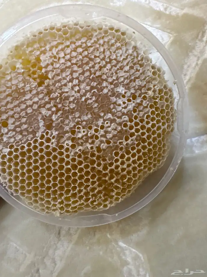 عسل سدر بلدي شمع 1