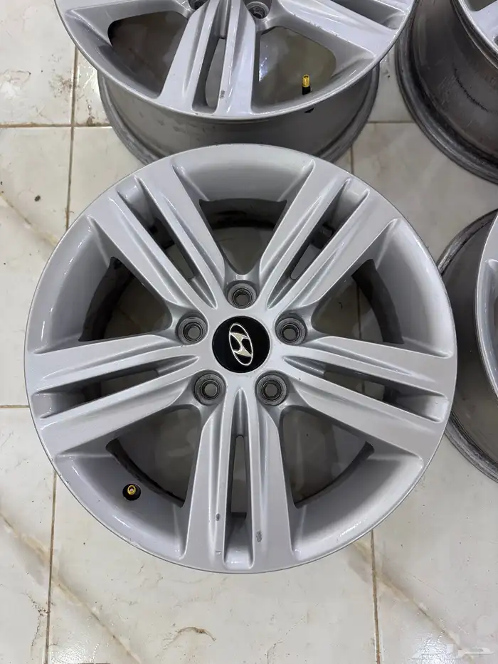 جنوط مجدوعي 2014 . 1