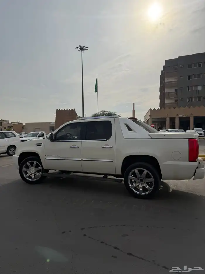 دينالي 2009 23