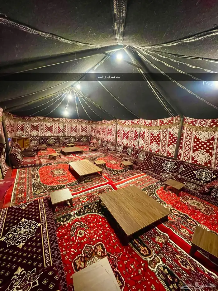 مخيم الدمام 8