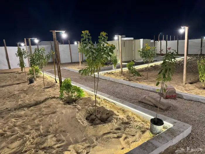 مخيمات للإجار فالدمام 17