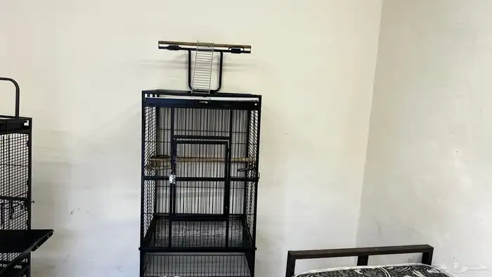 للبيع شبك ببغاء 0