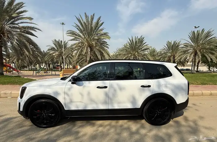 كيا تيلورايد 2022 3