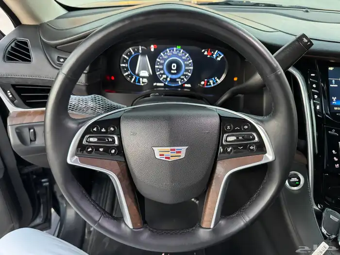 اسكاليد 2019 بريميوم (ملكي) الجميح نظيف جدا 52