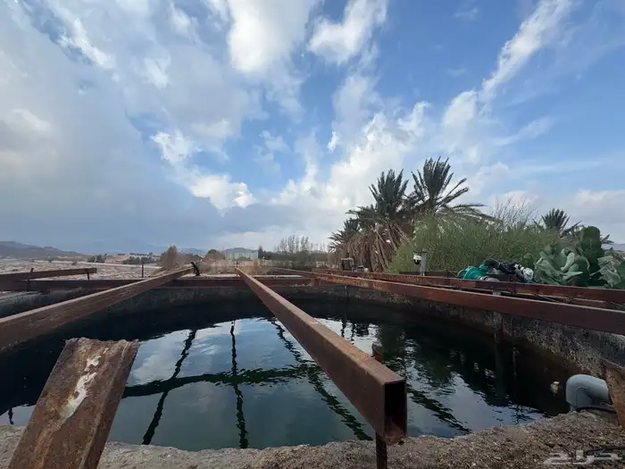 مزرعه للبيع 2