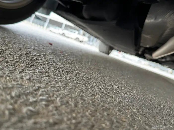 كادينزا 2020 بنزين 6 سرندل 29