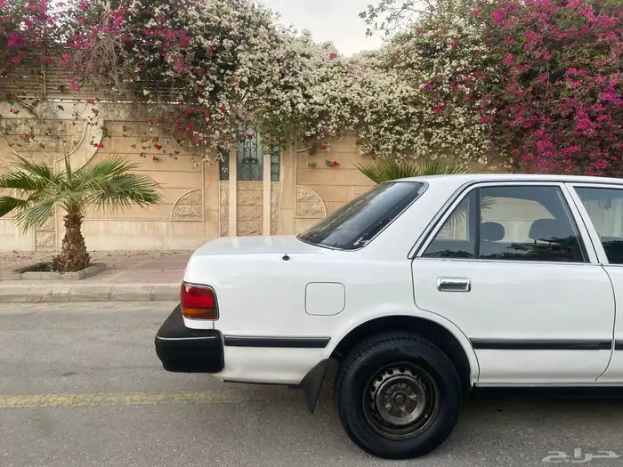 كرسيدا 1996 نظيف 5