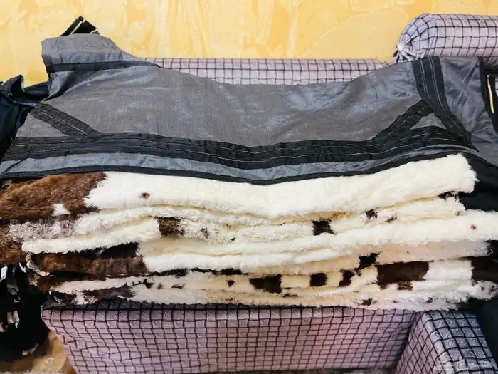 فروة طفيلي غنم ارنب ثعلب نمر طبيعي 49