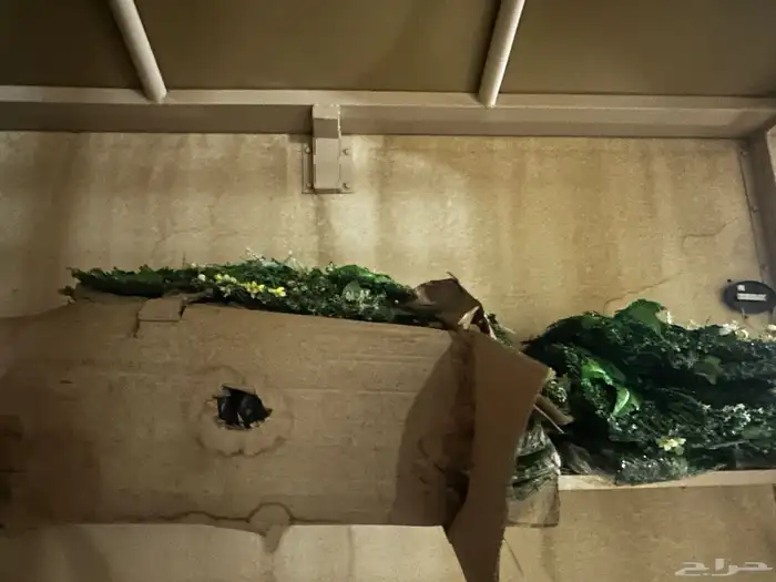 نبات صناعي للجدران 2