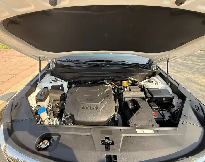 كيا تيلورايد 2022 11