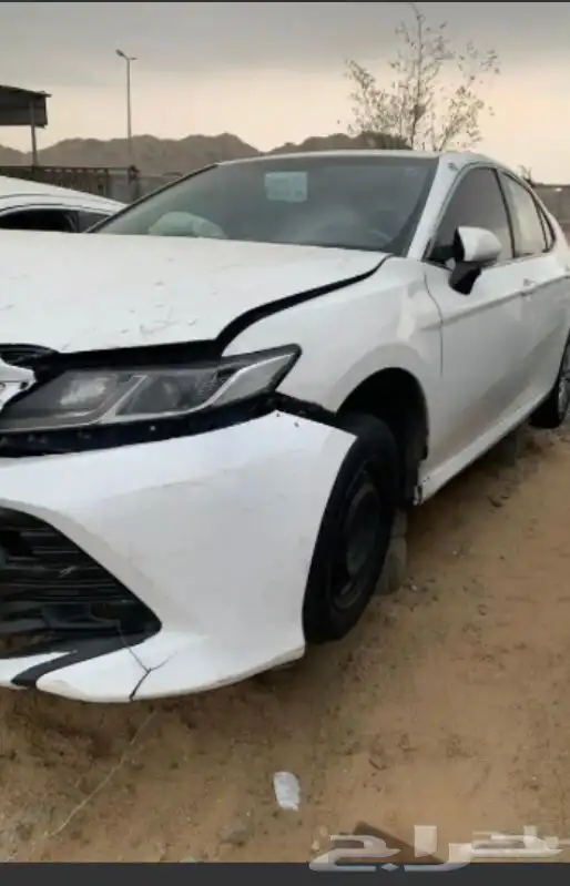 مطلوب شريك سكن 0