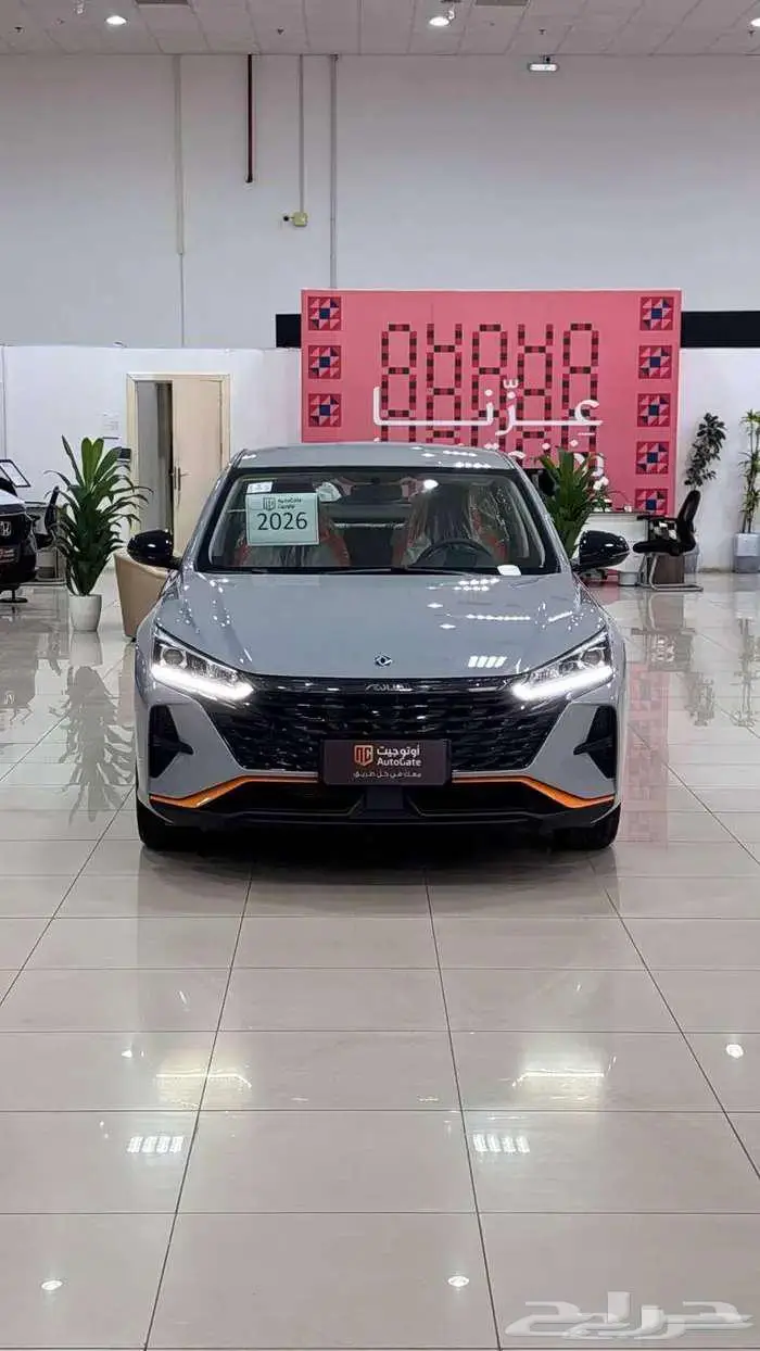 دونج فينج شاين SHINE E1 رمادي 2026 0